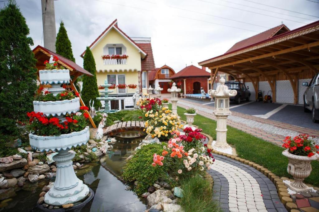Vila Adr Petresti Ngoại thất bức ảnh